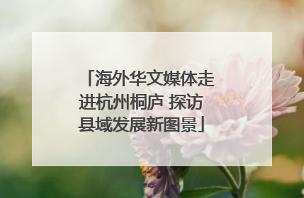 海外华文媒体走进杭州桐庐 探访县域发展新图景