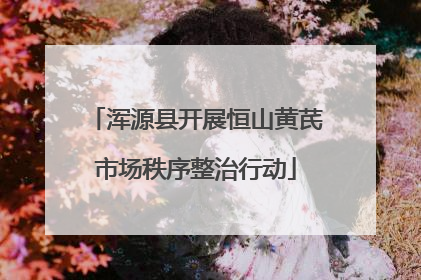 浑源县开展恒山黄芪市场秩序整治行动