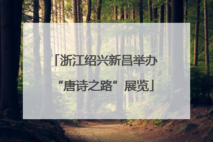 浙江绍兴新昌举办“唐诗之路”展览