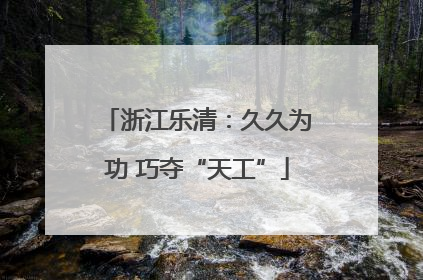 浙江乐清：久久为功 巧夺“天工”
