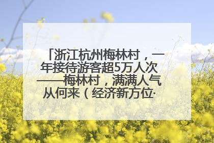 浙江杭州梅林村，一年接待游客超5万人次——梅林村，满满人气从何来（经济新方位·农村消费观察）