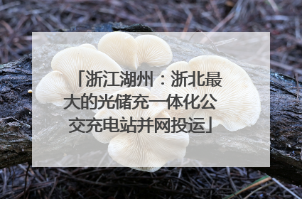 浙江湖州：浙北最大的光储充一体化公交充电站并网投运
