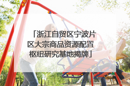 浙江自贸区宁波片区大宗商品资源配置枢纽研究基地揭牌