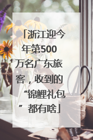 浙江迎今年第500万名广东旅客，收到的“锦鲤礼包”都有啥