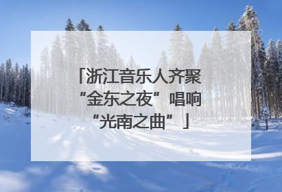 浙江音乐人齐聚“金东之夜”唱响“光南之曲”