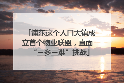 浦东这个人口大镇成立首个物业联盟，直面“三多三难”挑战