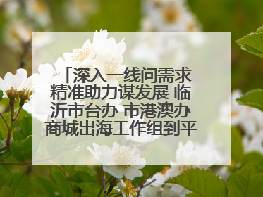 深入一线问需求 精准助力谋发展 临沂市台办 市港澳办商城出海工作组到平邑县走访调研