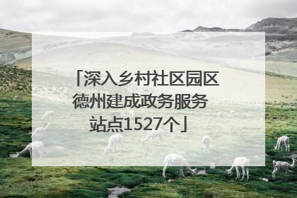 深入乡村社区园区 德州建成政务服务站点1527个