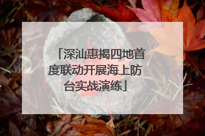 深汕惠揭四地首度联动开展海上防台实战演练