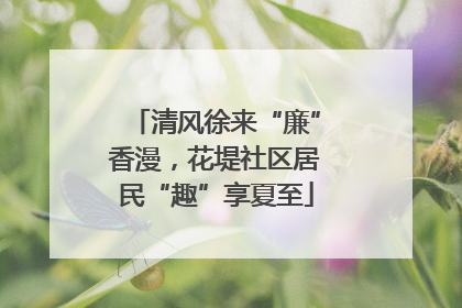 清风徐来“廉”香漫，花堤社区居民“趣”享夏至