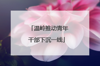 温岭推动青年干部下沉一线