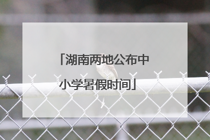 湖南两地公布中小学暑假时间