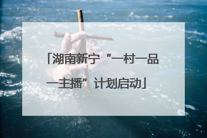 湖南新宁“一村一品一主播”计划启动