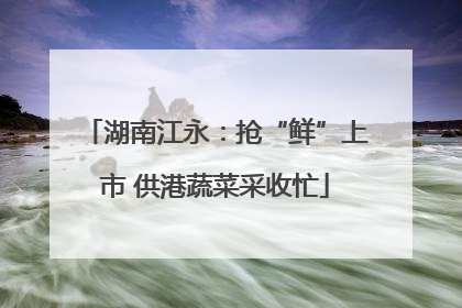 湖南江永：抢“鲜”上市 供港蔬菜采收忙