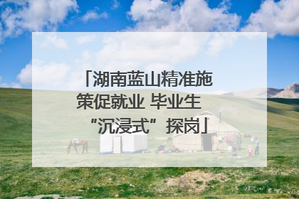 湖南蓝山精准施策促就业 毕业生“沉浸式”探岗
