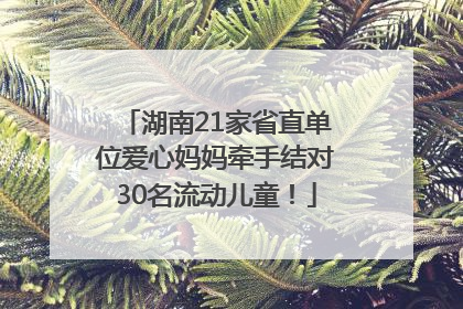 湖南21家省直单位爱心妈妈牵手结对30名流动儿童！