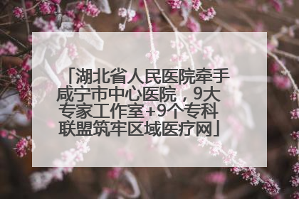 湖北省人民医院牵手咸宁市中心医院，9大专家工作室+9个专科联盟筑牢区域医疗网