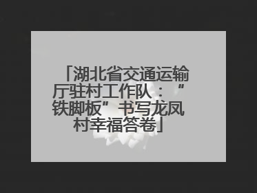 湖北省交通运输厅驻村工作队：“铁脚板”书写龙凤村幸福答卷