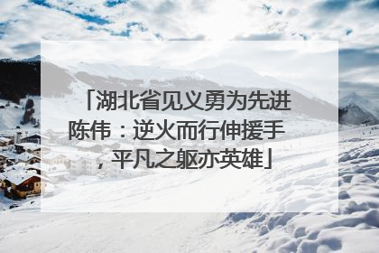 湖北省见义勇为先进陈伟：逆火而行伸援手，平凡之躯亦英雄