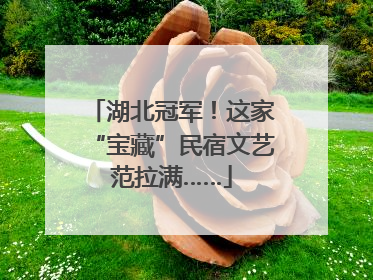 湖北冠军！这家“宝藏”民宿文艺范拉满……