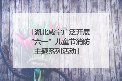 湖北咸宁广泛开展“六一”儿童节消防主题系列活动
