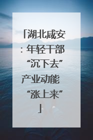 湖北咸安：年轻干部“沉下去” 产业动能“涨上来”