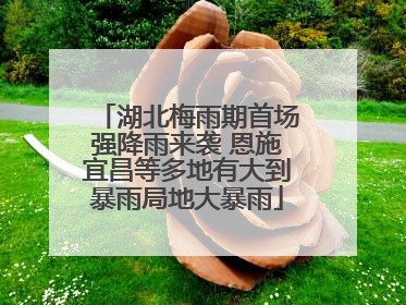 湖北梅雨期首场强降雨来袭 恩施宜昌等多地有大到暴雨局地大暴雨