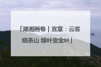 湖湘画卷｜宜章：云雾绕茶山 绿叶变金叶
