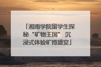 湘南学院留学生探秘“矿物王国” 沉浸式体验矿博盛宴
