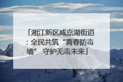 湘江新区咸嘉湖街道：全民共筑“青春防毒墙” 守护无毒未来