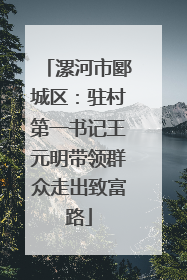 漯河市郾城区：驻村第一书记王元明带领群众走出致富路