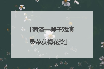 菏泽一柳子戏演员荣获梅花奖