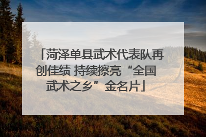 菏泽单县武术代表队再创佳绩 持续擦亮“全国武术之乡”金名片