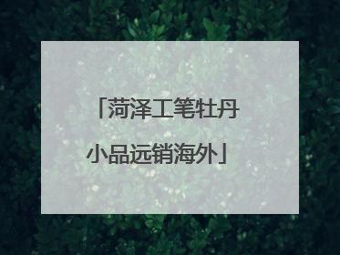 菏泽工笔牡丹小品远销海外
