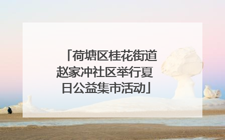 荷塘区桂花街道赵家冲社区举行夏日公益集市活动