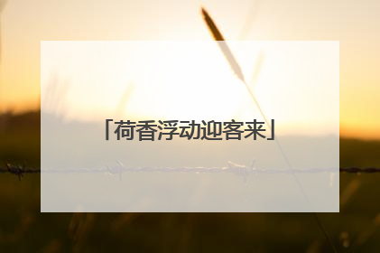 荷香浮动迎客来