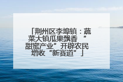 荆州区李埠镇：蔬菜大镇瓜果飘香 “甜蜜产业”开辟农民增收“新赛道”