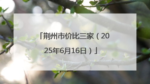 荆州市价比三家（2025年6月16日）