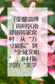 荣耀淄博｜周村区南郊镇韩家窝村：从“方寸庭院”到“全域文明”，乡村振兴的“美学革命”