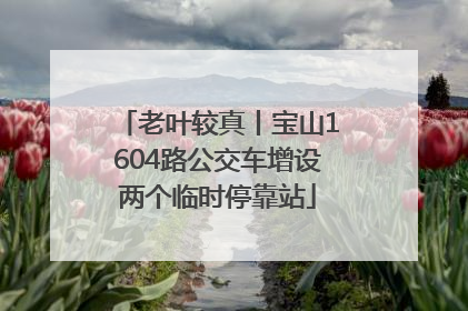 老叶较真丨宝山1604路公交车增设两个临时停靠站