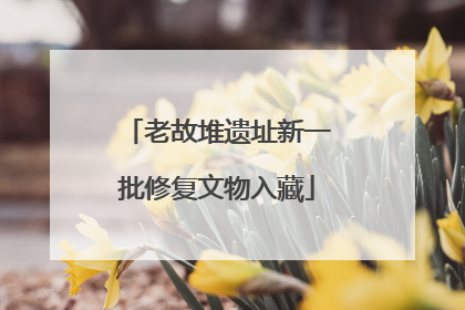 老故堆遗址新一批修复文物入藏