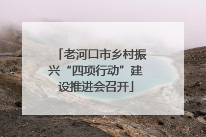 老河口市乡村振兴“四项行动”建设推进会召开