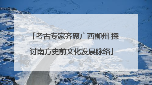 考古专家齐聚广西柳州 探讨南方史前文化发展脉络