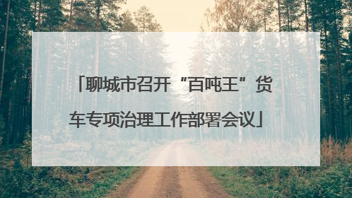 聊城市召开“百吨王”货车专项治理工作部署会议