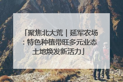 聚焦北大荒｜延军农场：特色种植带旺多元业态 土地焕发新活力