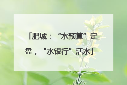 肥城：“水预算”定盘，“水银行”活水