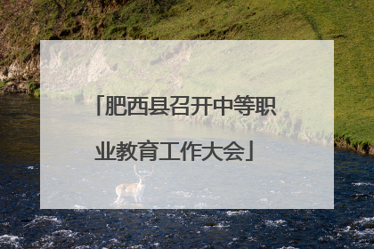 肥西县召开中等职业教育工作大会