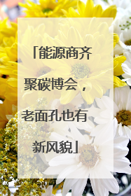 能源商齐聚碳博会，老面孔也有新风貌