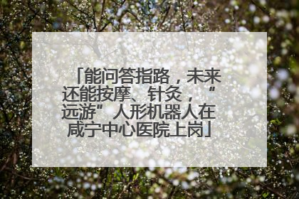 能问答指路，未来还能按摩、针灸，“远游”人形机器人在咸宁中心医院上岗