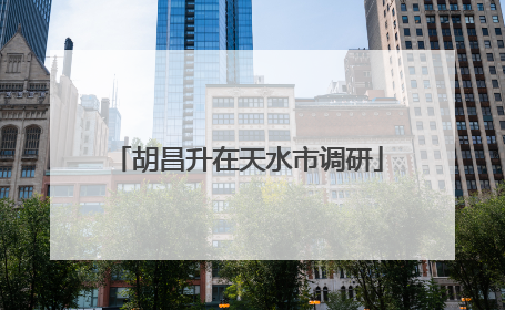 胡昌升在天水市调研